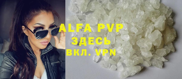 индика Гусиноозёрск