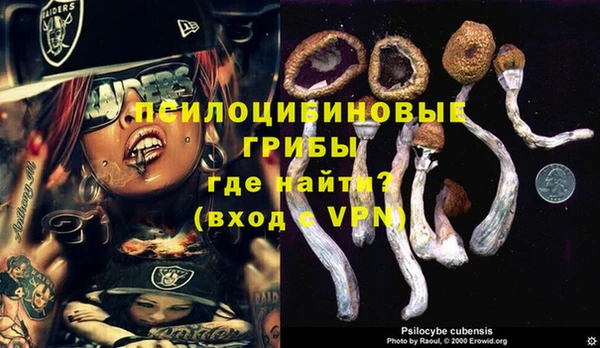 крисы Гусев
