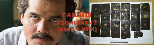 индика Гусиноозёрск
