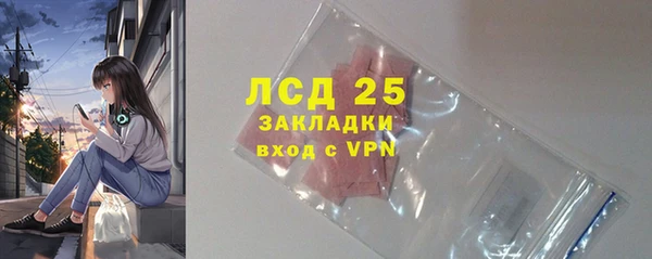 индика Гусиноозёрск