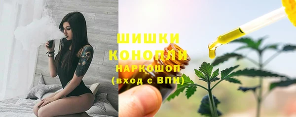 винт Гусь-Хрустальный