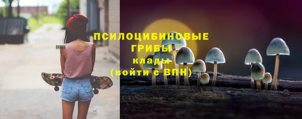 винт Гусь-Хрустальный