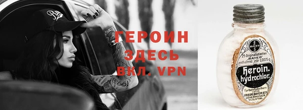 индика Гусиноозёрск
