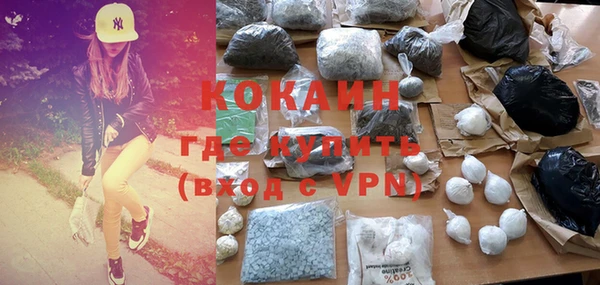 индика Гусиноозёрск
