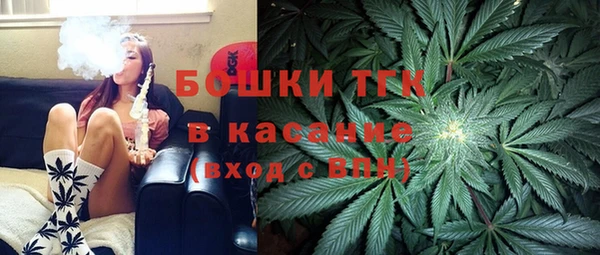 индика Гусиноозёрск