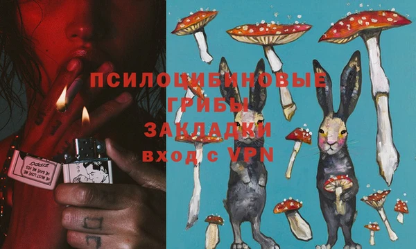 индика Гусиноозёрск