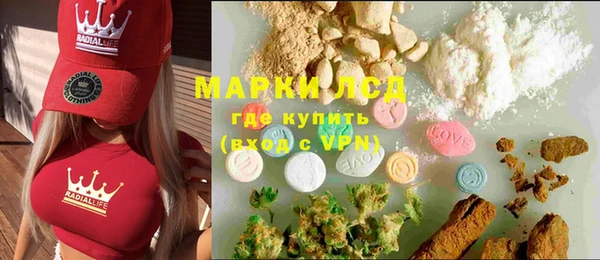 индика Гусиноозёрск
