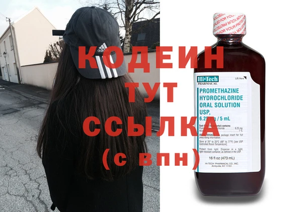 индика Гусиноозёрск
