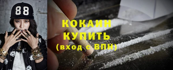 индика Гусиноозёрск