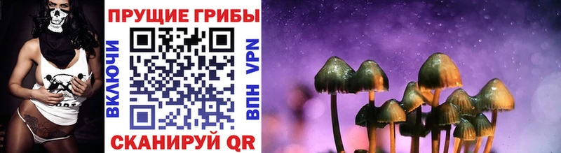 Галлюциногенные грибы MAGIC MUSHROOMS  Пермь 